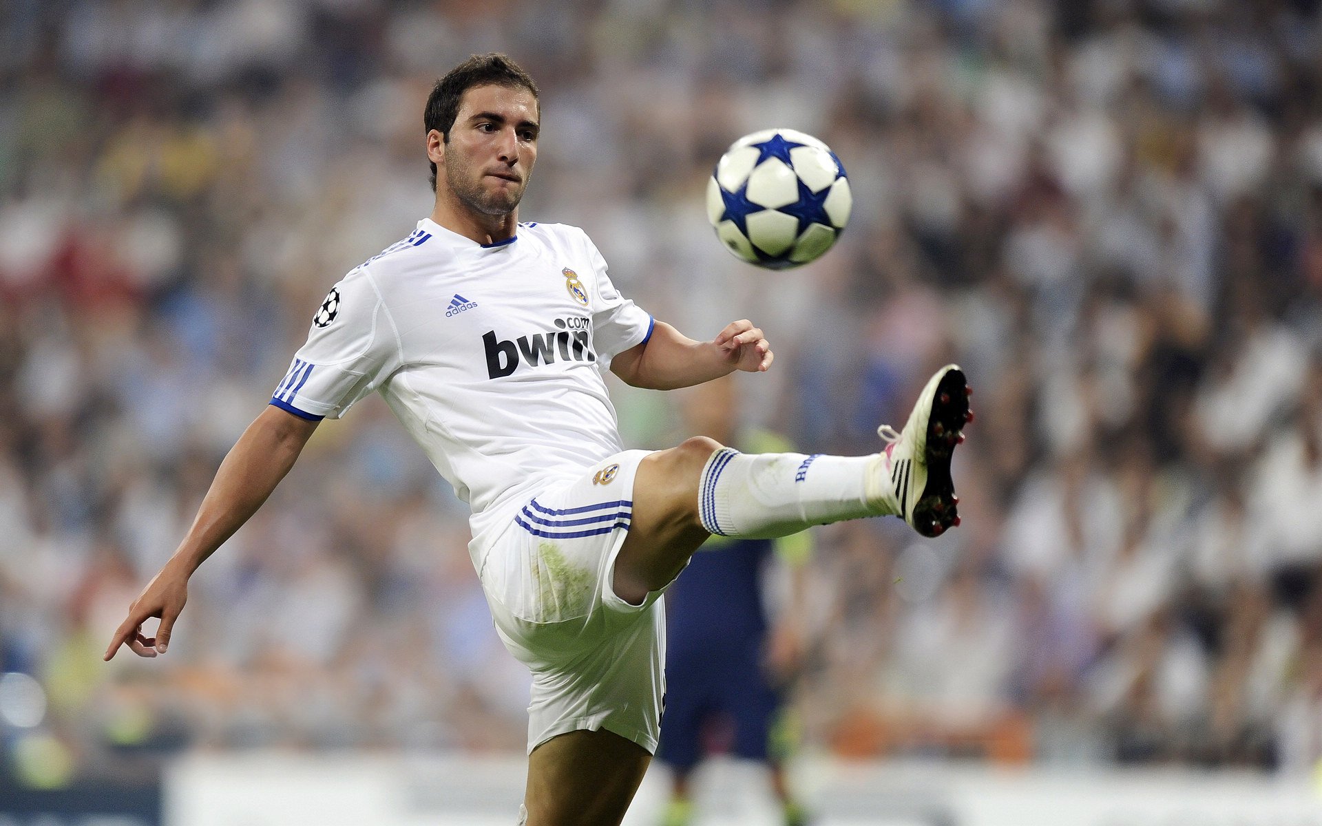 斯滕伯根技术动作精准流畅，斯滕伯格作品