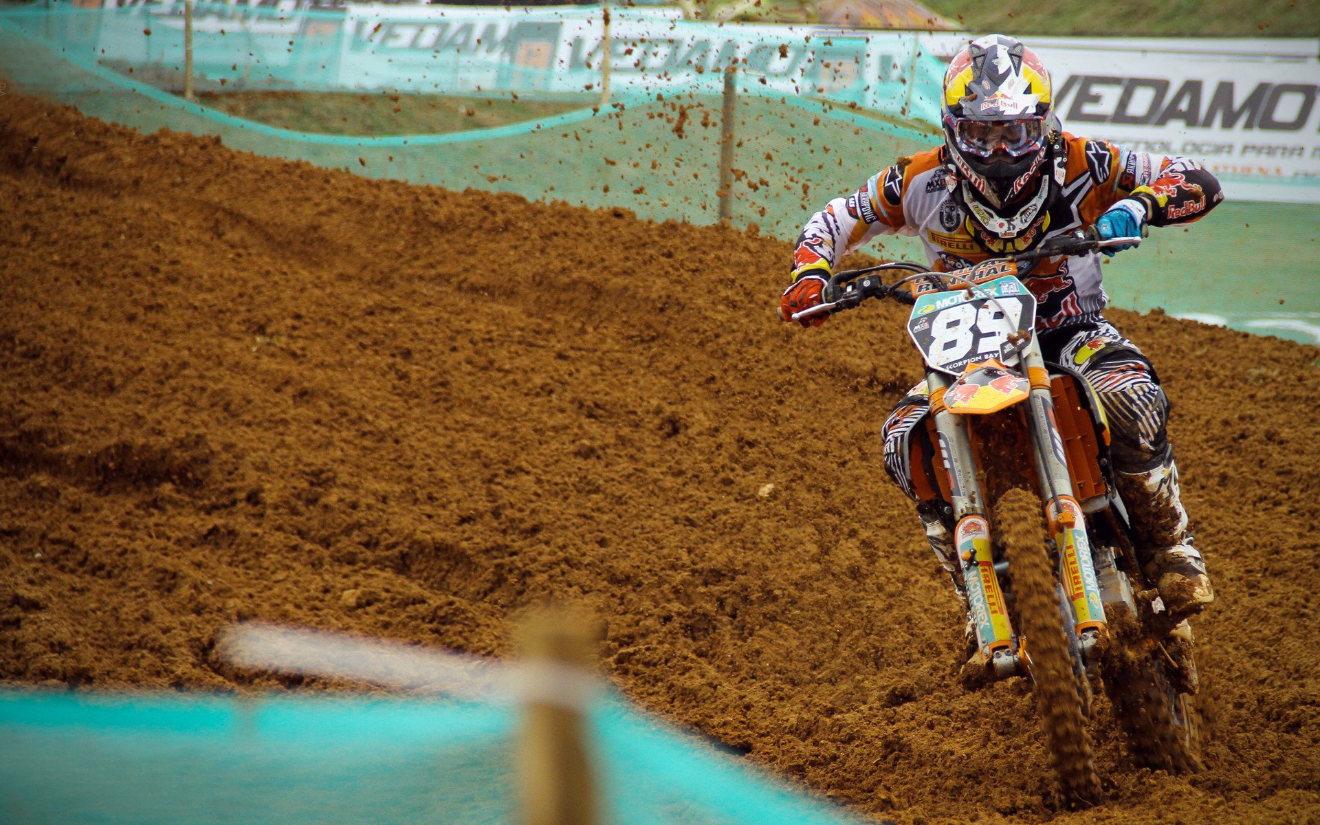 格雷琴·沃尔什完美触壁问鼎冠军，格雷沃尔特